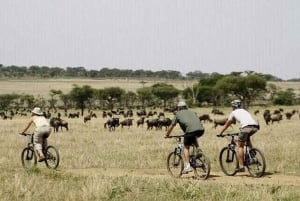 Kisumu: Kaupunkitaiteen pyöräsafari