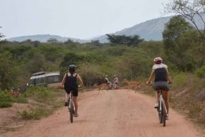 Kisumu: Kaupunkitaiteen pyöräsafari