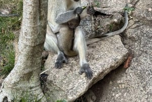 Kit-Mikayi Historical Stone Hiking Tour