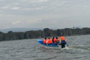 Park Narodowy Amboseli – safari z przewodnikiem, z odbiorem i dowozem