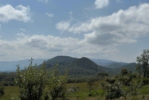 Park Narodowy Amboseli – safari z przewodnikiem, z odbiorem i dowozem