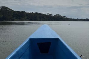 Park Narodowy Amboseli – safari z przewodnikiem, z odbiorem i dowozem