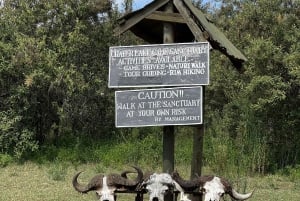 Park Narodowy Amboseli – safari z przewodnikiem, z odbiorem i dowozem