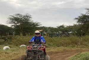 Park Narodowy Amboseli – safari z przewodnikiem, z odbiorem i dowozem