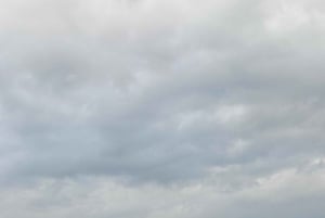 Park Narodowy Amboseli – safari z przewodnikiem, z odbiorem i dowozem