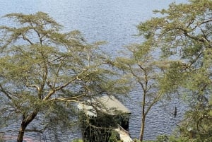 Park Narodowy Amboseli – safari z przewodnikiem, z odbiorem i dowozem