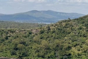 Park Narodowy Amboseli – safari z przewodnikiem, z odbiorem i dowozem