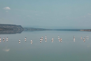 Lake Magadi