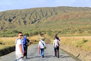Excursión de un día al Lago Naivasha y al Santuario de Caza de Crescent Island