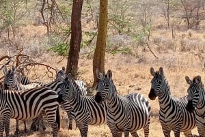 Lac Naivasha : réserve animalière de Crescent Island