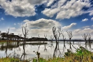 Lac Naivasha : réserve animalière de Crescent Island