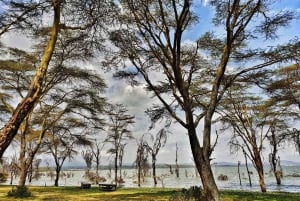 Lac Naivasha : réserve animalière de Crescent Island