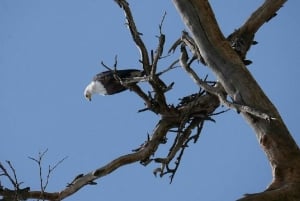 Lac Naivasha : réserve animalière de Crescent Island