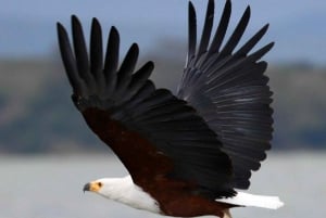 Lac Naivasha : réserve animalière de Crescent Island