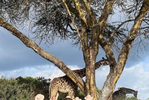 Lac Naivasha : réserve animalière de Crescent Island