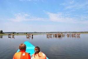 Lake Naivasha and hellsgate day tour from Nairobi