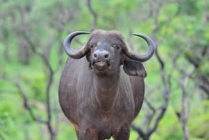 Lake Naivasha and hellsgate day tour from Nairobi
