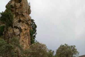 Lake Naivasha and hellsgate day tour from Nairobi