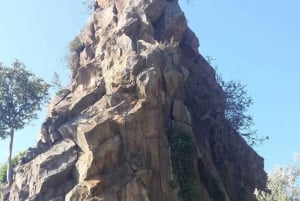Lake Naivasha and hellsgate day tour from Nairobi