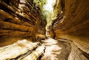 Lake Naivasha and hellsgate day tour from Nairobi