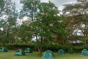 Lake Naivasha and hellsgate day tour from Nairobi