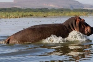 Lake Naivasha and hellsgate day tour from Nairobi