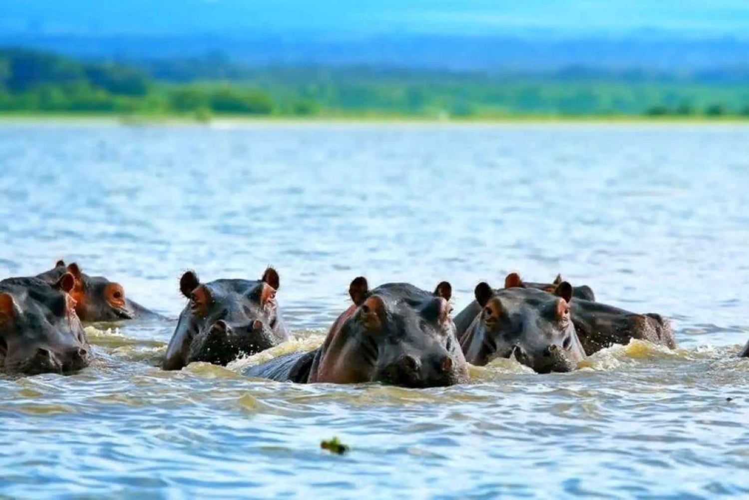 Lago Naivasha: Santuario de Fauna de la Isla Crescent