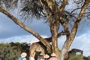 Lago Naivasha: Santuario de Fauna de la Isla Crescent