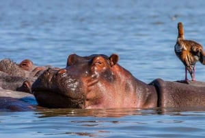 Lago Naivasha: Santuario de Fauna de la Isla Crescent