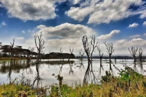 Lago Naivasha: Santuario de Fauna de la Isla Crescent