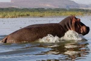 Lago Naivasha: Santuario de Fauna de la Isla Crescent