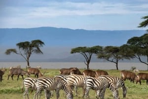 Lago Naivasha: Santuario de Fauna de la Isla Crescent
