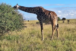 Lago Naivasha: Santuario de Fauna de la Isla Crescent