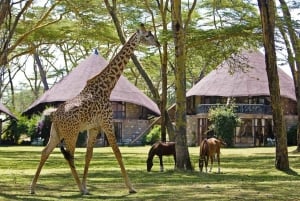 Lago Naivasha: Santuario de Fauna de la Isla Crescent
