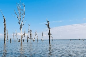 Lago Naivasha: Santuario de Fauna de la Isla Crescent