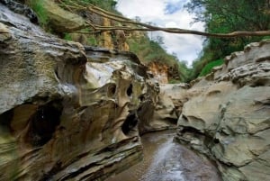 Lago Naivasha: Santuario de Fauna de la Isla Crescent