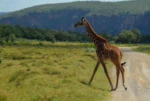 Lago Naivasha: Santuario de Fauna de la Isla Crescent