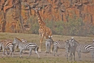 Lago Naivasha: Santuario de Fauna de la Isla Crescent
