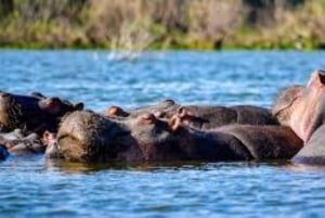 Lago Naivasha: Santuario de Fauna de la Isla Crescent