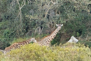 Naivashasjön: Crescent Island Game Sanctuary