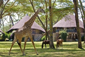 Naivashasjön: Crescent Island Game Sanctuary