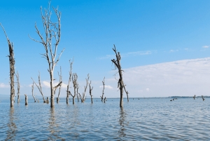 Naivashasjön: Crescent Island Game Sanctuary