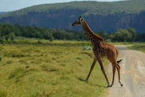 Naivashasjön: Crescent Island Game Sanctuary