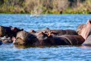 Naivashasjön: Crescent Island Game Sanctuary