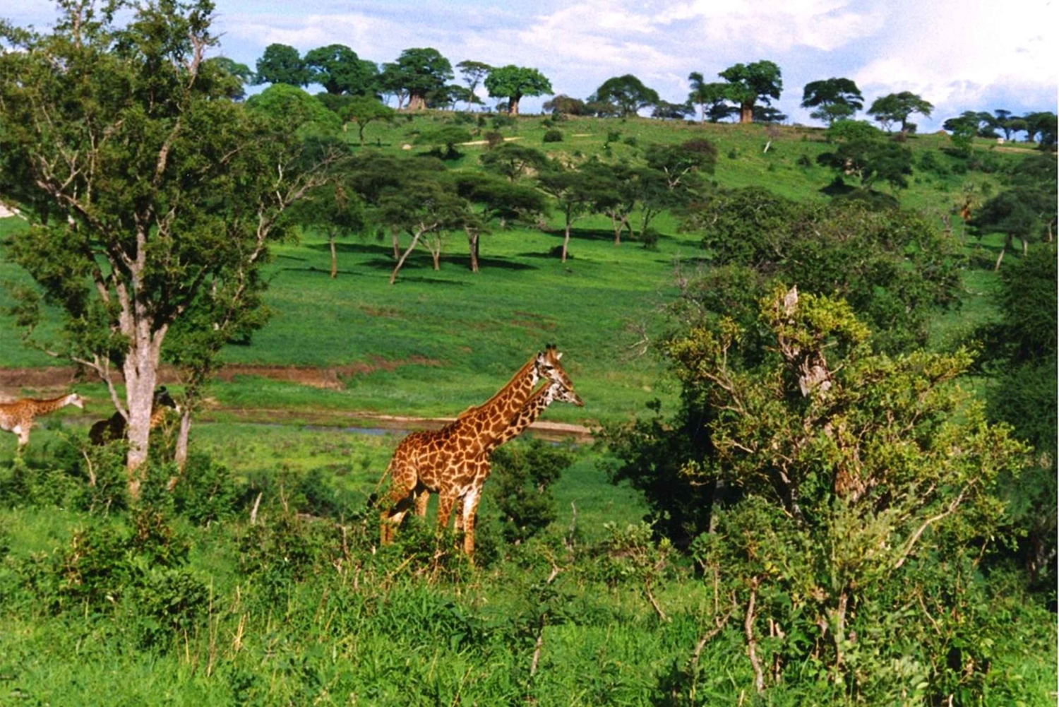 Lake Naivasha dagtour inclusief halvemaan eiland
