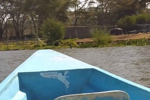Lake Naivasha dagtour inclusief halvemaan eiland