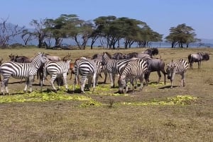 Excursion d'une journée au lac Naivasha, y compris l'île du Croissant