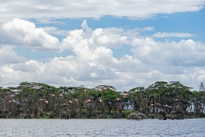Lake Naivasha dagtour inclusief halvemaan eiland