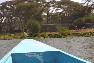 Lake Naivasha dagtour inclusief halvemaan eiland