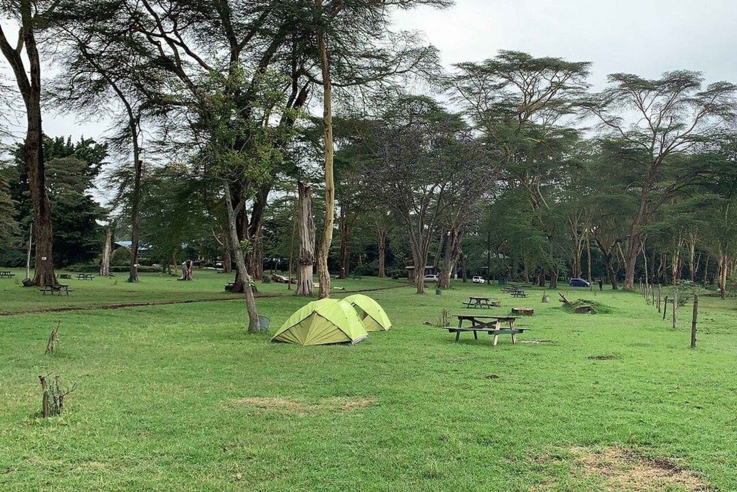 Lake Naivasha: Fisherman’s Camp Guided Tour